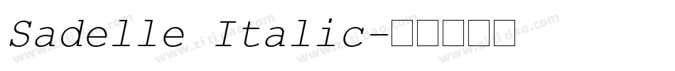 Sadelle Italic字体转换